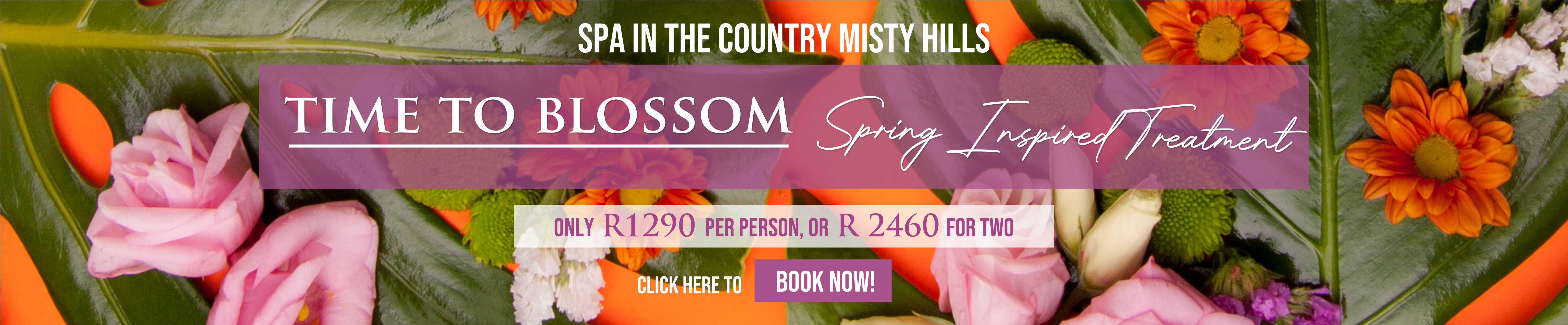 Misty Hills Spa Spring 2025